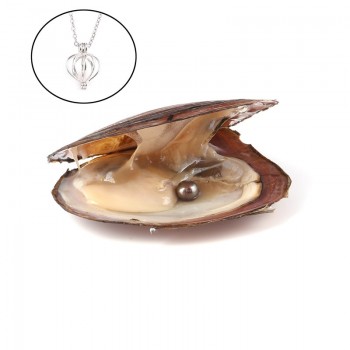 Pearl Oysters with Round 7-8 mm Love Wish Real Freshwater Pearl and Nacklace Set (Chain 55cm)