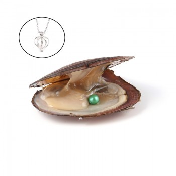 Pearl Oysters with Round 7-8 mm Love Wish Real Freshwater Pearl and Nacklace Set (Chain 55cm)