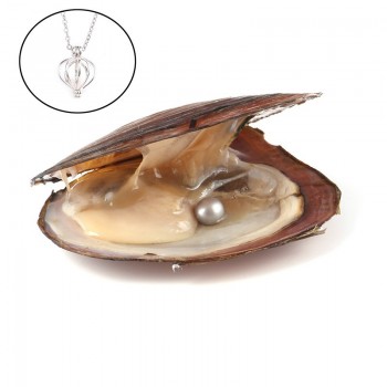 Pearl Oysters with Round 7-8 mm Love Wish Real Freshwater Pearl and Nacklace Set (Chain 55cm)