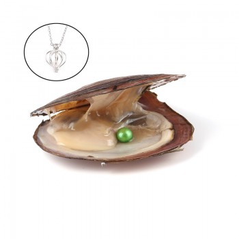 Pearl Oysters with Round 7-8 mm Love Wish Real Freshwater Pearl and Nacklace Set (Chain 55cm)
