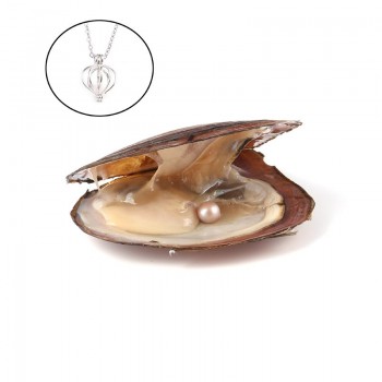 Pearl Oysters with Round 7-8 mm Love Wish Real Freshwater Pearl and Nacklace Set (Chain 55cm)