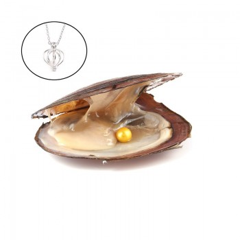 Pearl Oysters with Round 7-8 mm Love Wish Real Freshwater Pearl and Nacklace Set (Chain 55cm)
