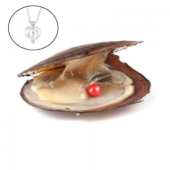 Pearl Oysters with Round 7-8 mm Love Wish Real Freshwater Pearl and Nacklace Set (Chain 55cm)