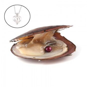 Pearl Oysters with Round 7-8 mm Love Wish Real Freshwater Pearl and Nacklace Set (Chain 55cm)