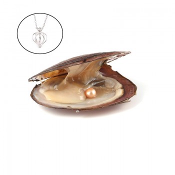 Pearl Oysters with Round 7-8 mm Love Wish Real Freshwater Pearl and Nacklace Set (Chain 55cm)