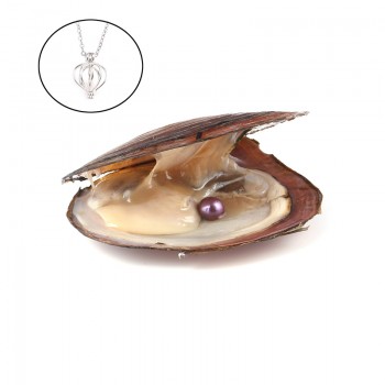 Pearl Oysters with Round 7-8 mm Love Wish Real Freshwater Pearl and Nacklace Set (Chain 55cm)