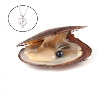 Pearl Oysters with Round 7-8 mm Love Wish Real Freshwater Pearl and Nacklace Set (Chain 55cm)