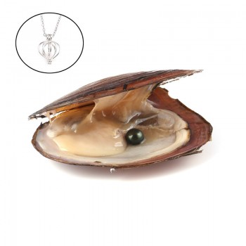 Pearl Oysters with Round 7-8 mm Love Wish Real Freshwater Pearl and Nacklace Set (Chain 55cm)
