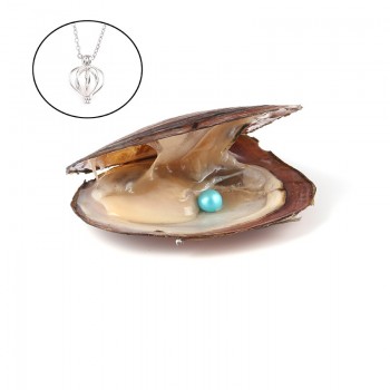 Pearl Oysters with Round 7-8 mm Love Wish Real Freshwater Pearl and Nacklace Set (Chain 55cm)