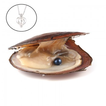 Pearl Oysters with Round 7-8 mm Love Wish Real Freshwater Pearl and Nacklace Set (Chain 55cm)