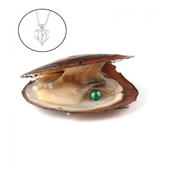 Pearl Oysters with Round 7-8 mm Love Wish Real Freshwater Pearl and Nacklace Set (Chain 55cm)