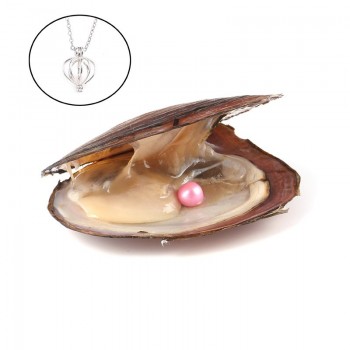 Pearl Oysters with Round 7-8 mm Love Wish Real Freshwater Pearl and Nacklace Set (Chain 55cm)