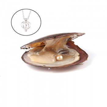 Pearl Oysters with Round 7-8 mm Love Wish Real Freshwater Pearl and Nacklace Set (Chain 55cm)