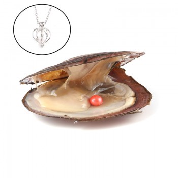 Pearl Oysters with Round 7-8 mm Love Wish Real Freshwater Pearl and Nacklace Set (Chain 55cm)