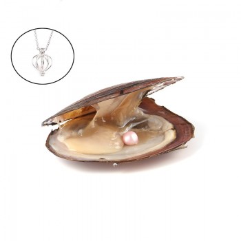 Pearl Oysters with Round 7-8 mm Love Wish Real Freshwater Pearl and Nacklace Set (Chain 55cm)