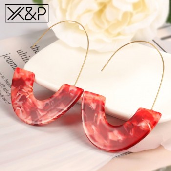 Xamp;P Fashion Korean Statement Gold Long Leopard Print Acrylic Round Drop Earrings for Women Geometric Dangles Earring Jewelry