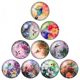 New Beauty Birds Hummingbird 10pcs mixed 12mm/16mm/18mm/25mm Round photo glass cabochon demo flat back Making findings ZB0574