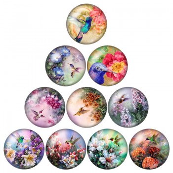 New Beauty Birds Hummingbird 10pcs mixed 12mm/16mm/18mm/25mm Round photo glass cabochon demo flat back Making findings ZB0574