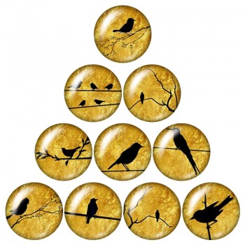New Beauty Birds Hummingbird 10pcs mixed 12mm/16mm/18mm/25mm Round photo glass cabochon demo flat back Making findings ZB0574
