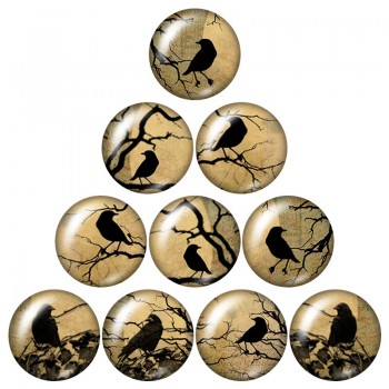 New Beauty Birds Hummingbird 10pcs mixed 12mm/16mm/18mm/25mm Round photo glass cabochon demo flat back Making findings ZB0574