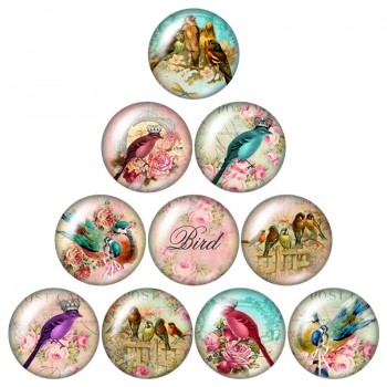 New Beauty Birds Hummingbird 10pcs mixed 12mm/16mm/18mm/25mm Round photo glass cabochon demo flat back Making findings ZB0574
