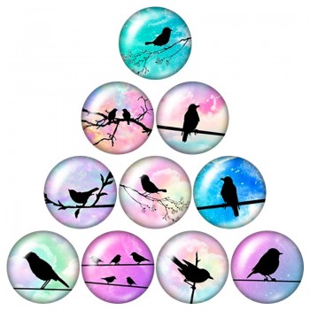 New Beauty Birds Hummingbird 10pcs mixed 12mm/16mm/18mm/25mm Round photo glass cabochon demo flat back Making findings ZB0574
