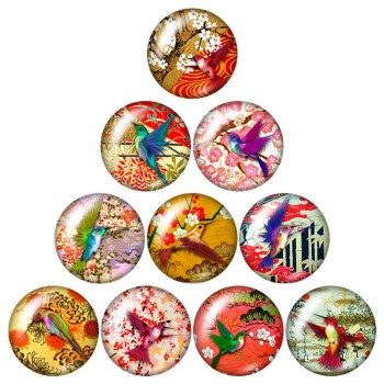 New Beauty Birds Hummingbird 10pcs mixed 12mm/16mm/18mm/25mm Round photo glass cabochon demo flat back Making findings ZB0574