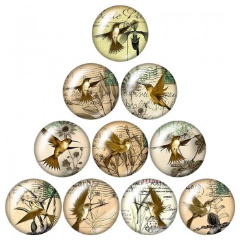New Beauty Birds Hummingbird 10pcs mixed 12mm/16mm/18mm/25mm Round photo glass cabochon demo flat back Making findings ZB0574