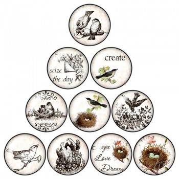 New Beauty Birds Hummingbird 10pcs mixed 12mm/16mm/18mm/25mm Round photo glass cabochon demo flat back Making findings ZB0574