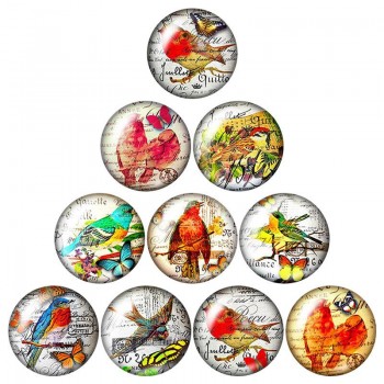 New Beauty Birds Hummingbird 10pcs mixed 12mm/16mm/18mm/25mm Round photo glass cabochon demo flat back Making findings ZB0574