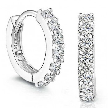 Dropshipping Sterling Crystal Row Luxury Silver Earrings For Women Earings Fashion Jewelry Female Brinco Earing oorbellen -Ff