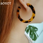 SOHOT Noble Glamour Cute Acrylic Hoop Earrings Classic Leopard Colorful  Acetic Acid  Statement Women Summer Party Major Brincos