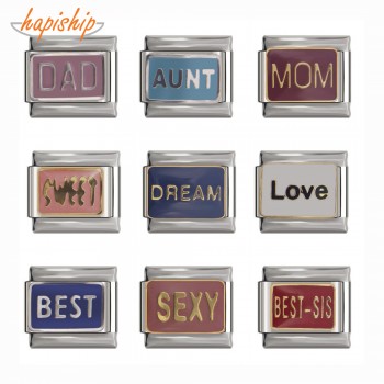 Hapiship 9mm Width Original Daisy Sweet Dad Love Best Sexy Mom Dream Aunt Charm Fit Bracelet Stainless Steel Links DJ120