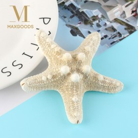 2 Pcs Elegant Starfish Hair Clips Beach Bridal Handmade DIY Sea Shell Hairpin Mermaid Festival Wedding Headwear Accessories