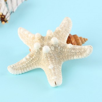 2 Pcs Elegant Starfish Hair Clips Beach Bridal Handmade DIY Sea Shell Hairpin Mermaid Festival Wedding Headwear Accessories