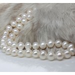 18 10-11 MM AAA +++ Akoya SOUTH SEA White Pearl Necklace 14k/20 Gold Clasp