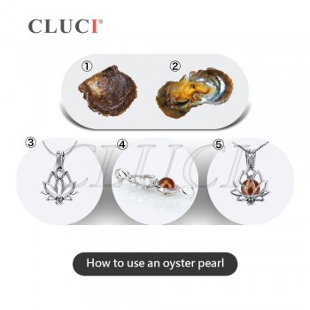 CLUCI New Arrival Birthday Jewelry Women Gifts 30pcs Bronze Natural Real Pearl 6-7mm One Pearl Beads in One Akoya Pearls Oysters