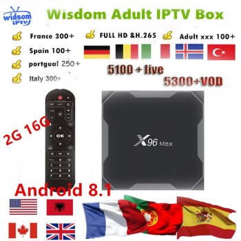 French IPTV ,Spain Portugal, Italy, Arabic IPTV Dutch IPTV Subscription Wisdom Support Android m3u enigma2 mag250 smart iptv