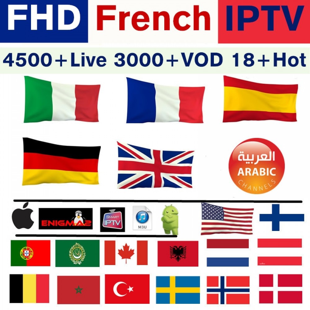 Europe IPTV subscription Vigotv France UK German Arabic Belgium Sweden French Poland Canada USA smart TV Box IPTV M3U 4500+ Live
