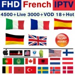 Europe IPTV subscription Vigotv France UK German Arabic Belgium Sweden French Poland Canada USA smart TV Box IPTV M3U 4500+ Live