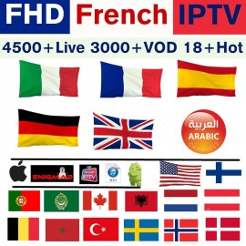 Europe IPTV subscription Vigotv France UK German Arabic Belgium Sweden French Poland Canada USA smart TV Box IPTV M3U 4500+ Live