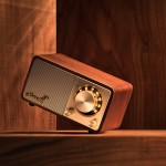 Sangean Mozart portable bluetooth fm radio speaker wireless speaker