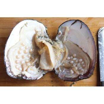 2017 Wholsale New Trendy Freshwater Pearls Vacuum Packaging Real Natural Pearl Oysters Big Monster Oysters Christmas Gift ABH728