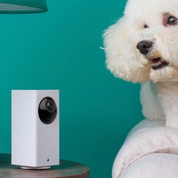 Xiaomi Mijia Dafang Smart IP Cameras 1080P HD Intelligent Security Wifi Webcams Nightshot APP Remote Control For Smart House