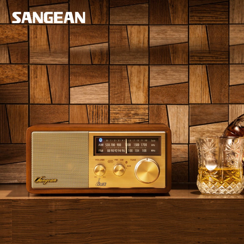 Sangean Blues wireless bluetooth speaker high performance speaker sangean radio fm speaker
