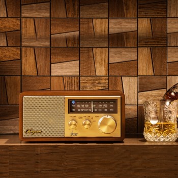 Sangean Blues wireless bluetooth speaker high performance speaker sangean radio fm speaker