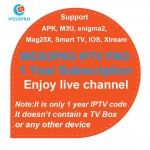 Arabic French Portuguese Polish German Italy Spain Netherlands Belgium Sweden UK US CA IPTV Subscription for Android TV Box M3U