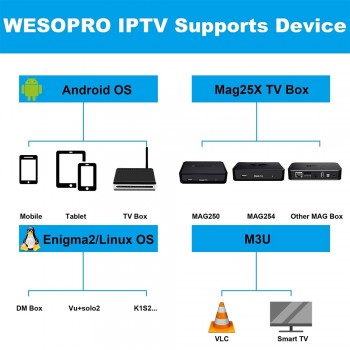 Arabic French Portuguese Polish German Italy Spain Netherlands Belgium Sweden UK US CA IPTV Subscription for Android TV Box M3U