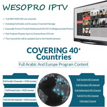 Arabic French Portuguese Polish German Italy Spain Netherlands Belgium Sweden UK US CA IPTV Subscription for Android TV Box M3U