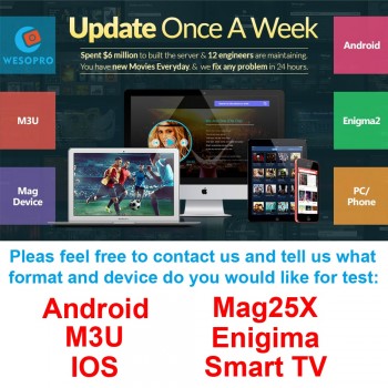 Arabic French Portuguese Polish German Italy Spain Netherlands Belgium Sweden UK US CA IPTV Subscription for Android TV Box M3U